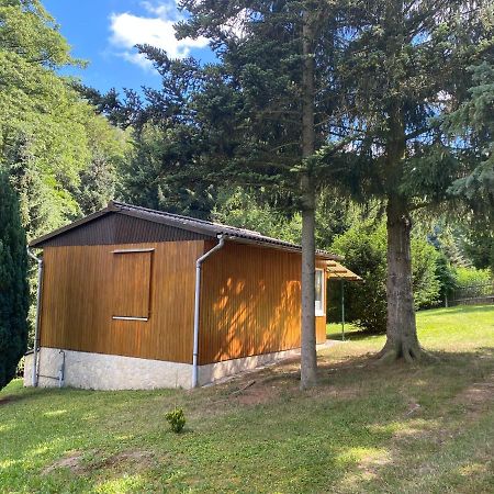 Garnsdorf Waldfrieden Bungalow מראה חיצוני תמונה