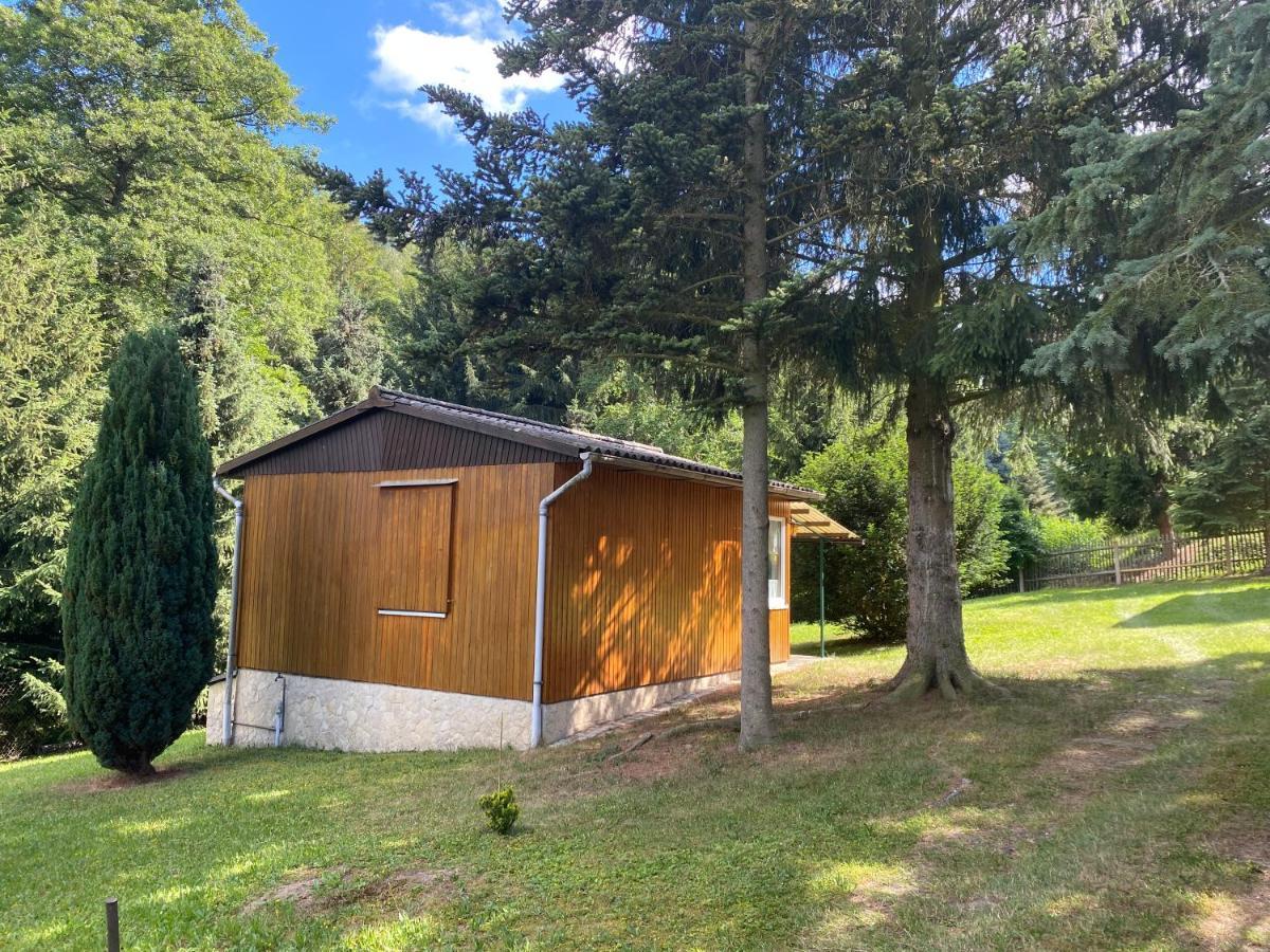 Garnsdorf Waldfrieden Bungalow מראה חיצוני תמונה