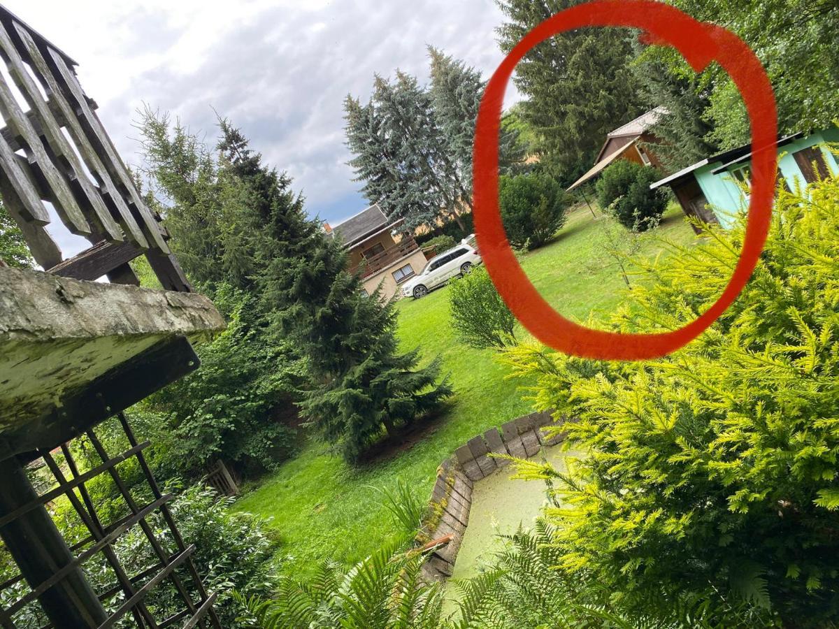 Garnsdorf Waldfrieden Bungalow מראה חיצוני תמונה