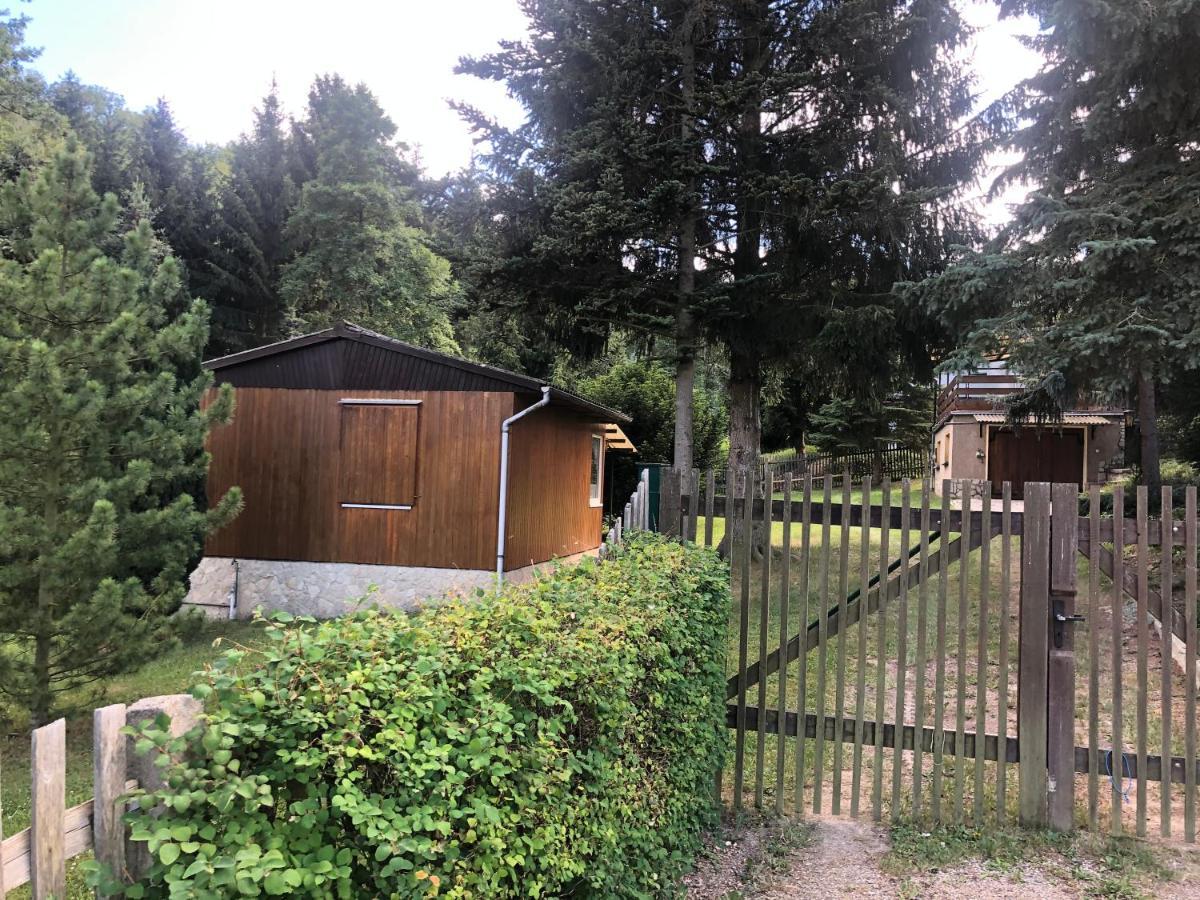 Garnsdorf Waldfrieden Bungalow מראה חיצוני תמונה
